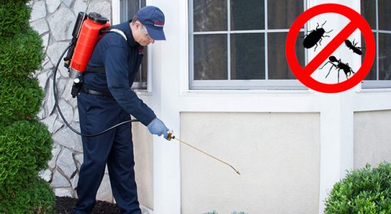 Doğanyol Karınca İlaçlama böcek ilaçlama ve haşere kontrolü — ilaclama-tr.com